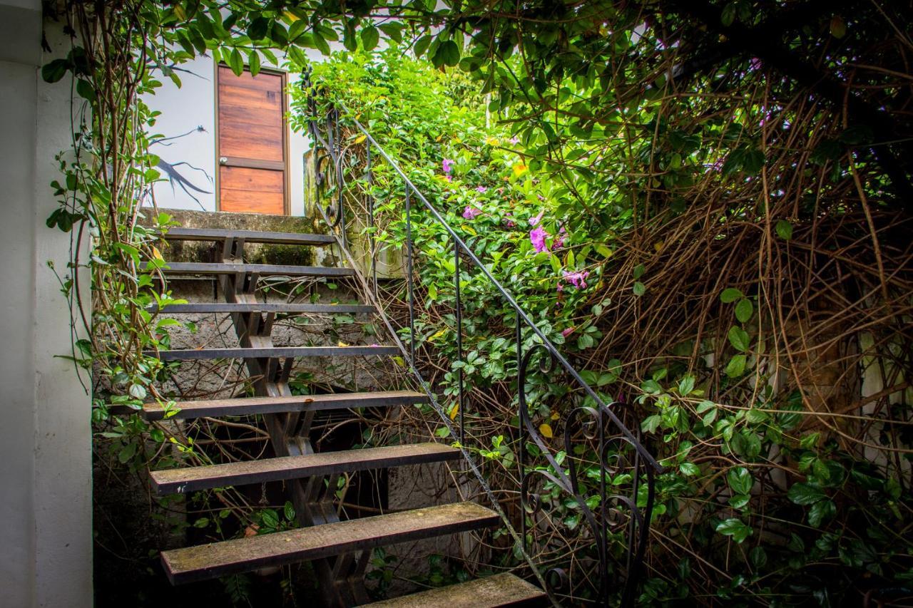 ホテル Capilla Del Sol Garzón エクステリア 写真