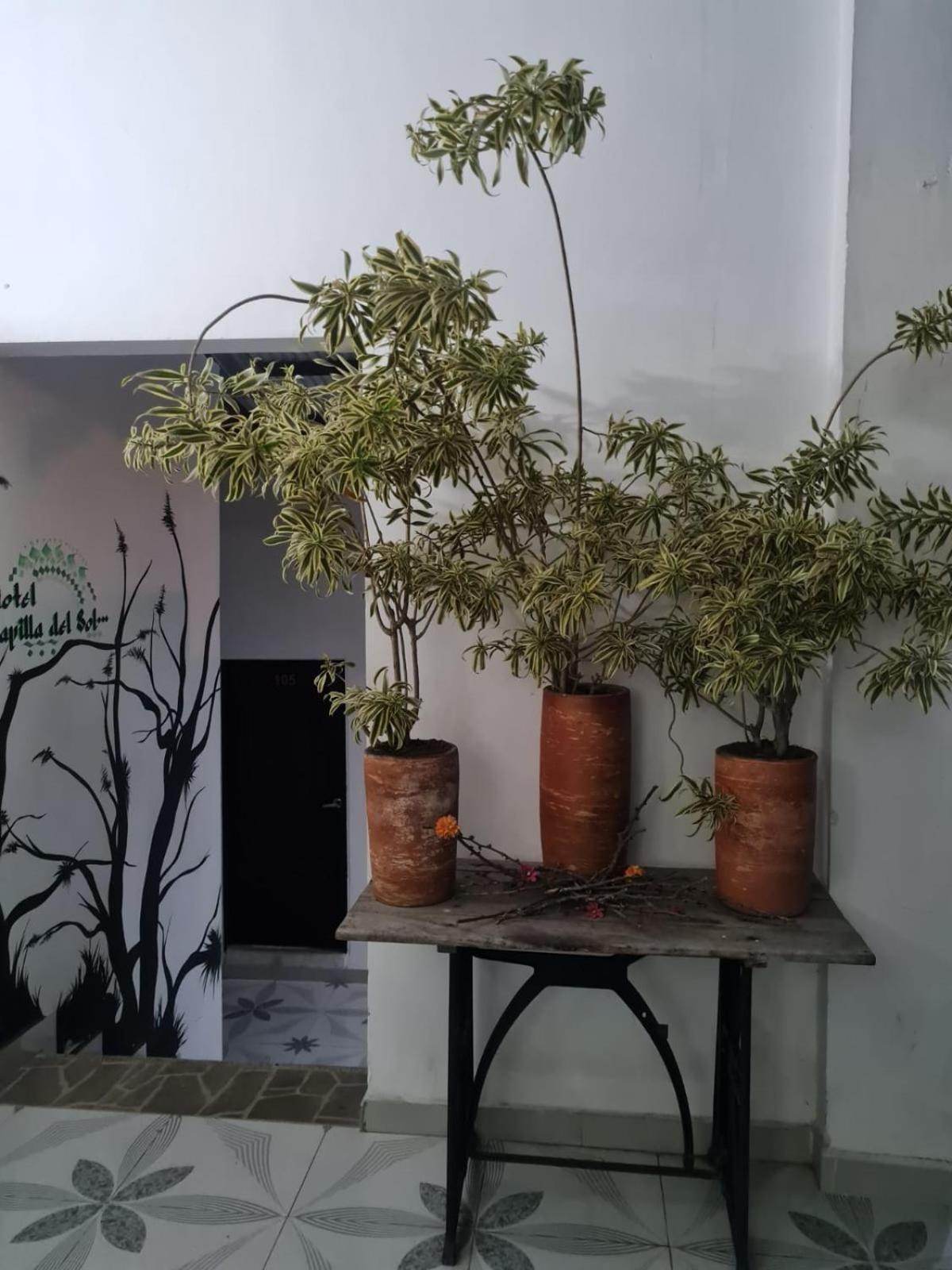 ホテル Capilla Del Sol Garzón エクステリア 写真